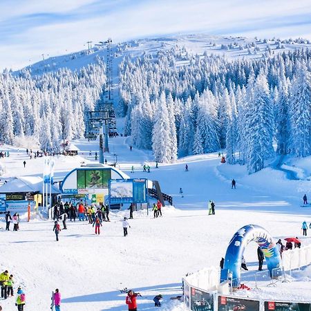 Forest View Apartments In Winterberg Sauerland Медебах Экстерьер фото